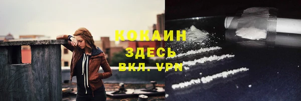 дмт Абаза