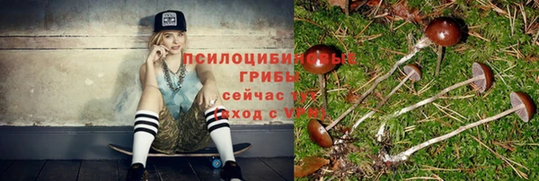 дмт Абаза