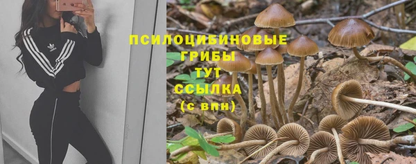 бошки Абдулино