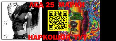 индика Кизилюрт