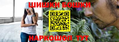 индика Кизилюрт