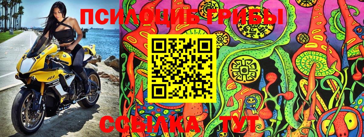 Заринск  Псилоцибиновые грибы Psilocybe  Вход с VPN 