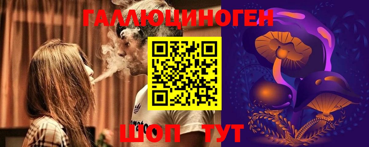 Псилоцибиновые грибы Psilocybe Заринск